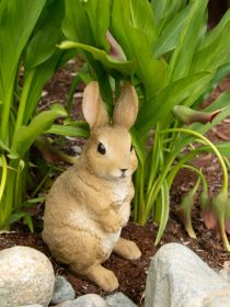 Curiously Cute Bunny Garden Figurine